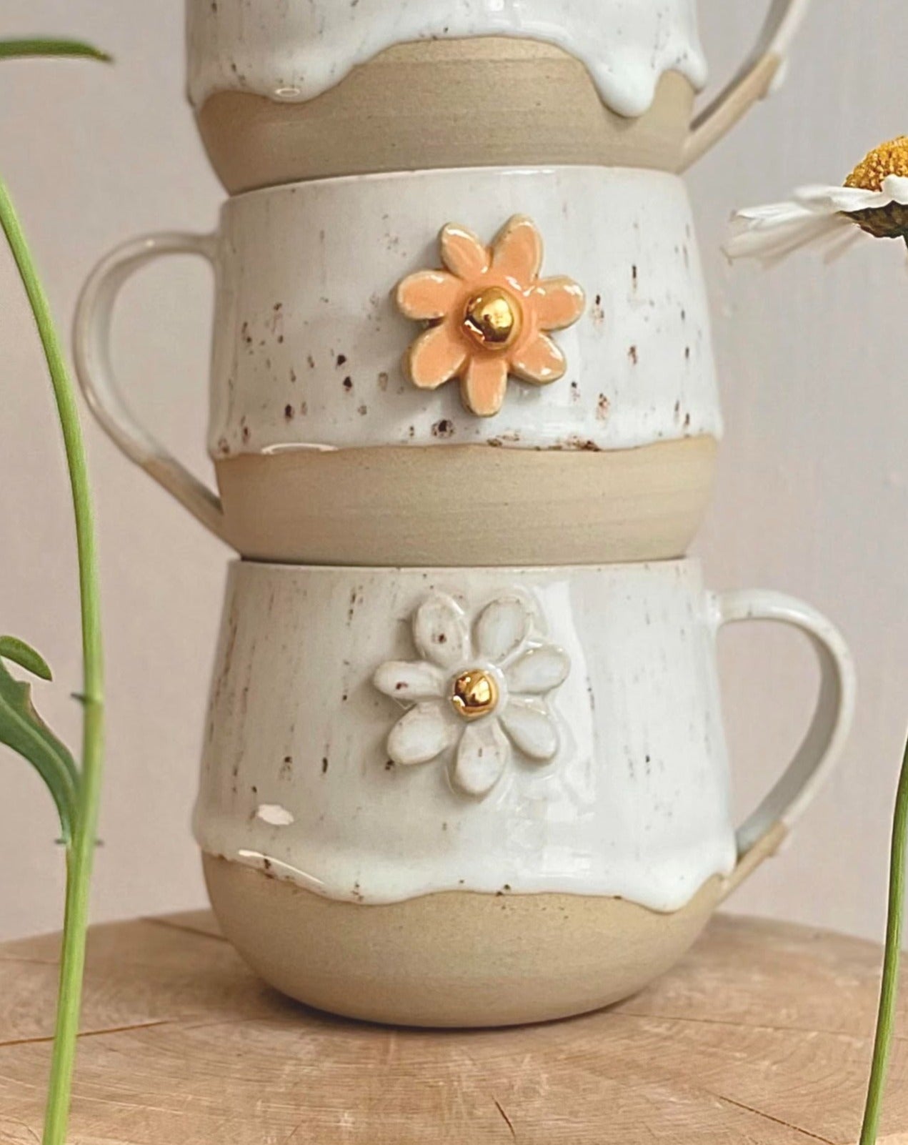 JARO sedmikráska - Buclatý